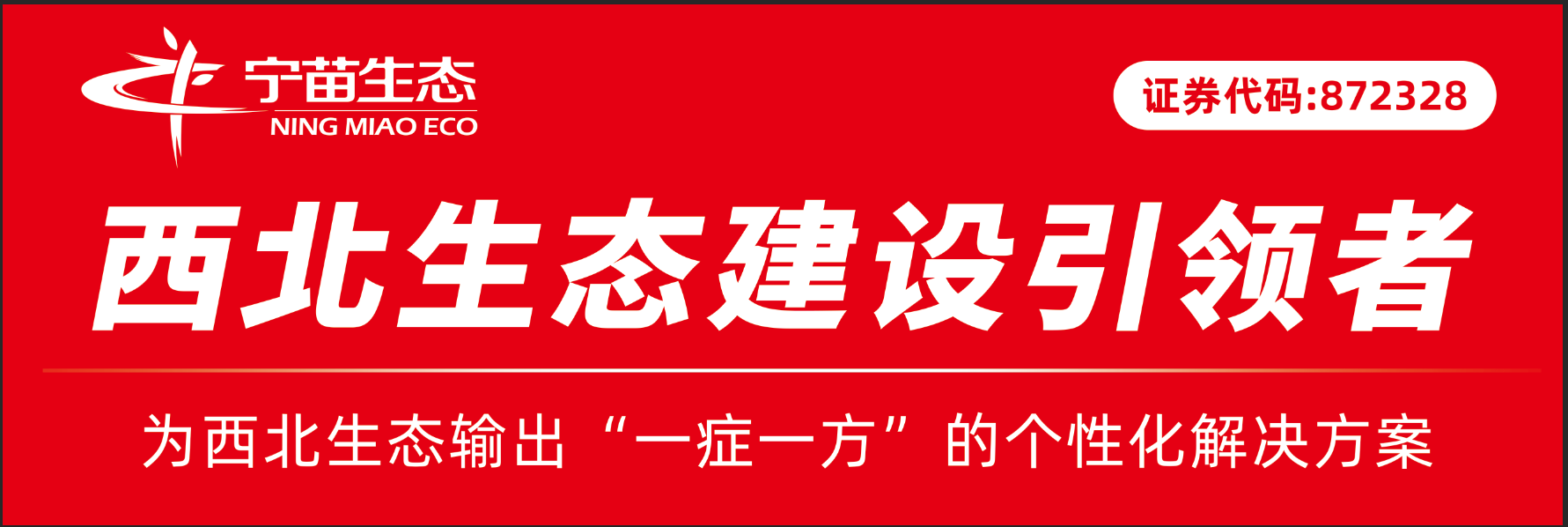 1717656591349805.png 1.png