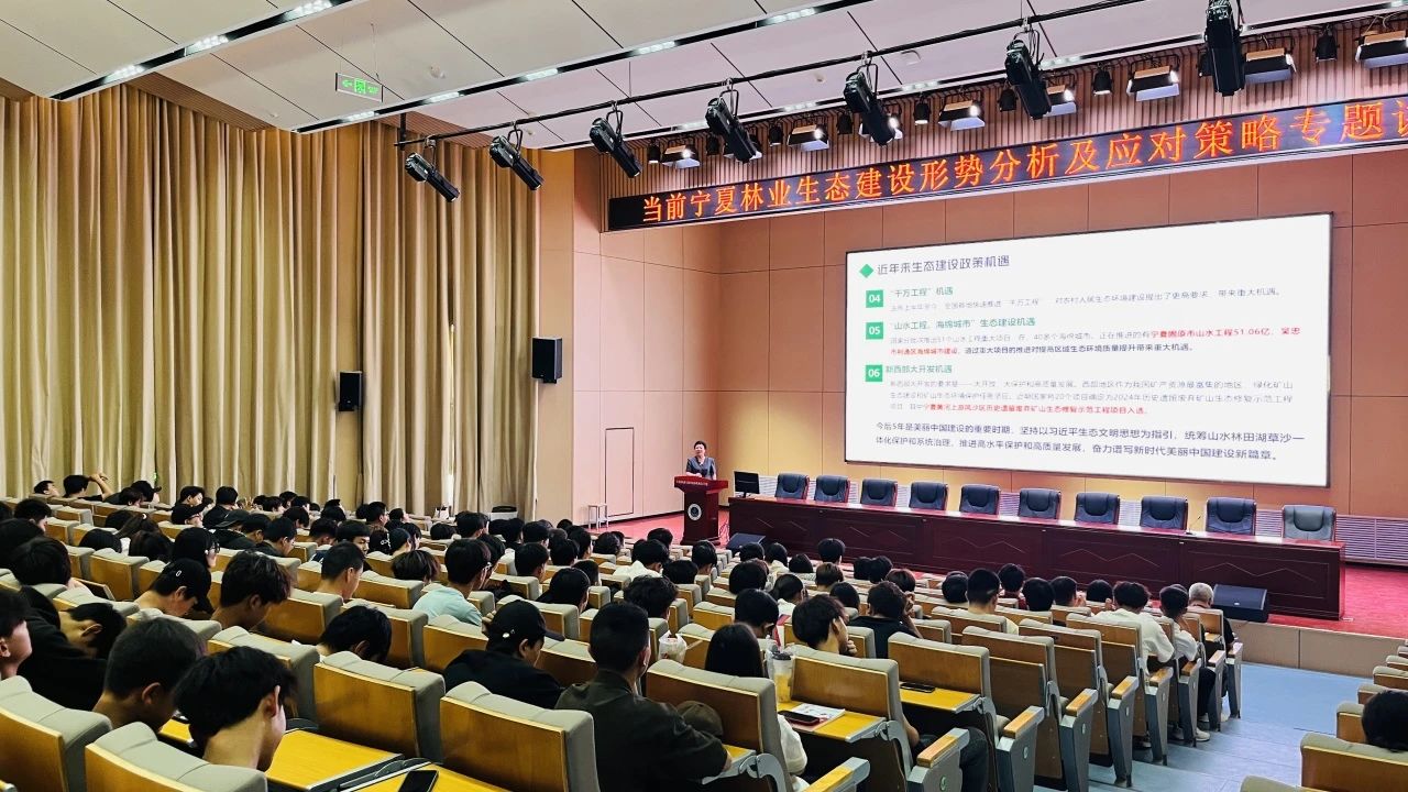 1717656627125054.jpg 4.jpg